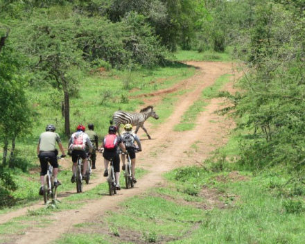 Hoogtepunten van Oeganda per Mountainbike: De parel van Afrika in 14 dagen
